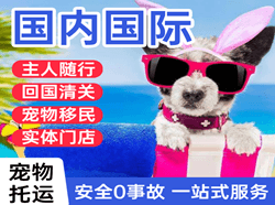 张家界航空快递国际宠物托运 【国